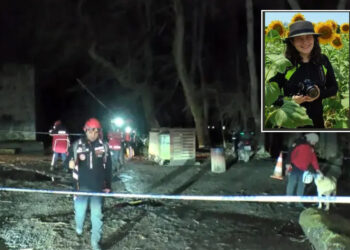 İstanbul’da 2 gündür kayıp olan mimar Ece Gürel, Belgrad Ormanı’nda arandı