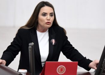 İyi Partili Türkeş: Özel hayat ve düşünce özgürlüğü tehdit altında