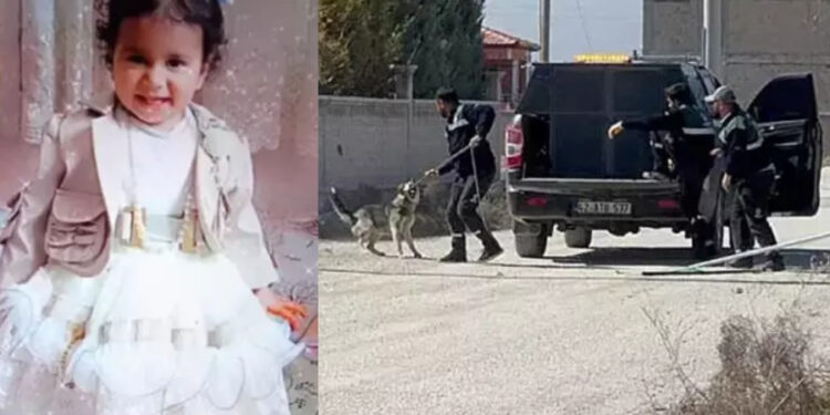 Konya’da sokak köpekleri 2 yaşındaki Rana’yı parçaladı