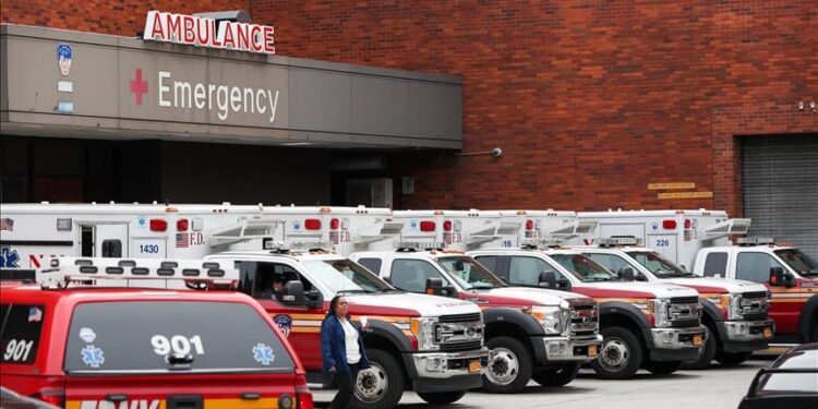 Köpek silahla sahibini vurdu