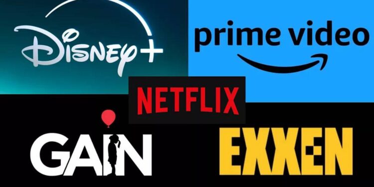Netflix, Disney+, Exxen, BluTV, Amazon ve Gain'e rekabet soruşturması
