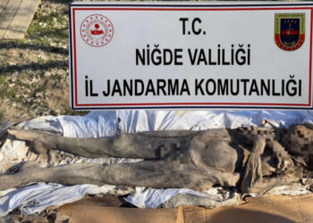 Niğde’de Orta Çağ’a ait mumyayı satmaya çalışan kişilere operasyon: 6 gözaltı