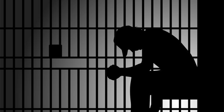 Öcalan'a 'umut hakkı' ve genel af gerçekten gündemde mi?