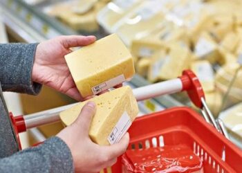 Peynir markasında ölümcül bakteri tespit edildi