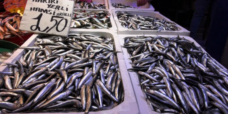 Ramazanda balığa ilgi düşük kaldı!