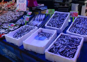 Rize’de deniz suyu ısındı; balık bolluğu azalsa da çeşitlilik sürüyor