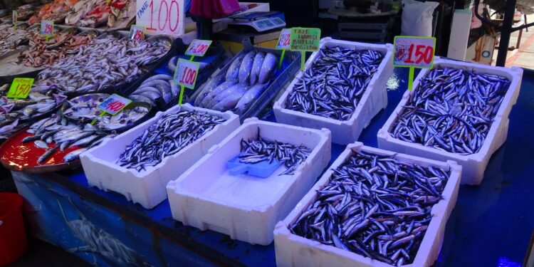 Rize’de deniz suyu ısındı; balık bolluğu azalsa da çeşitlilik sürüyor