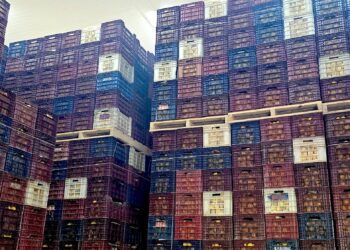 Serbest bölgelerde bu yıl 12,5 milyar doların üzerinde ihracat hedefleniyor