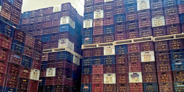 Serbest bölgelerde bu yıl 12,5 milyar doların üzerinde ihracat hedefleniyor