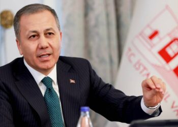 Sokak hayvanları toplanmıyor, görevini yapmayanlar var; toplamazlarsa yasayı uygularız