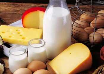 Tarım ve Orman Bakanı İbrahim Yumaklı Yanıtladı: Ramazan'da Yumurta, Et ve Süte Zam Gelecek mi?