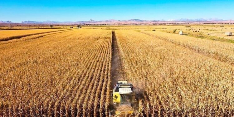 Tarımsal girdi fiyat endeksi ocak ayında arttı!