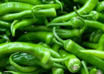 Türkiye'nin Gönderdiği Biberler İçin Apar Topar İmha Kararı Verdiler