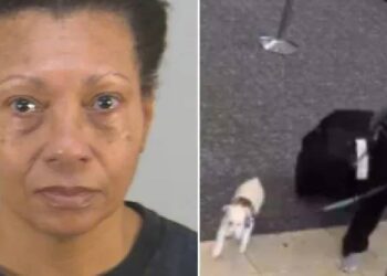 “Uçağa alamayız” dedikleri köpeğini havaalanı tuvaletinde öldürdü