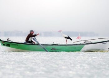 'Yaren Leylek' Fotoğrafı İspanya'da Birinciliği Getirdi