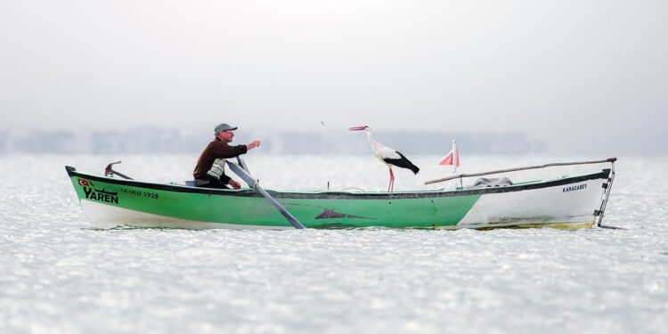 'Yaren Leylek' Fotoğrafı İspanya'da Birinciliği Getirdi