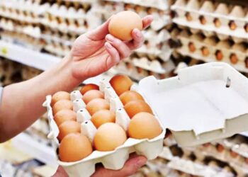 Yumurta Fiyatlarına Yeni Önlem: 0,5 Dolardan 1.5 Dolara Yükseldi