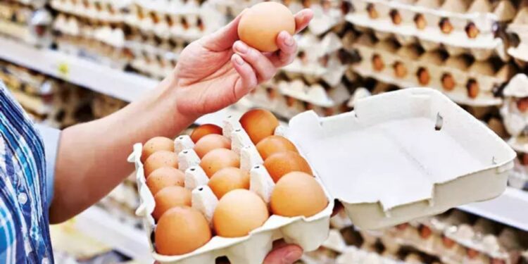 Yumurta Fiyatlarına Yeni Önlem: 0,5 Dolardan 1.5 Dolara Yükseldi