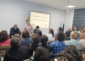 Meral Danış Beştaş: Barış için hepimize büyük görevler düşüyor