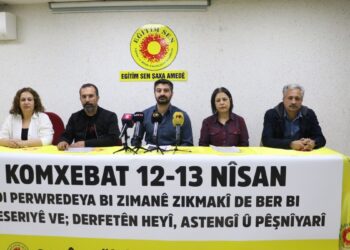 Eğitim Sen  ‘Anadilde Eğitim Çalıştayı’ düzenleyecek