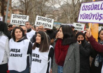 Kürtçe şarkıya 10 ay ceza