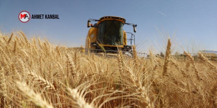 LİDAŞ’ta milyarlık buğday vurgunu: 9 kişi tutuklandı