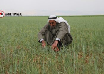 Girdi maliyetleri, DEDAŞ ve kuraklık: Araziler kuru, çiftçi borçlu