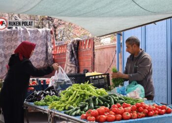 Wanlılar: Devlet adım atar, savaşı durdurursa ekonomi düzelir