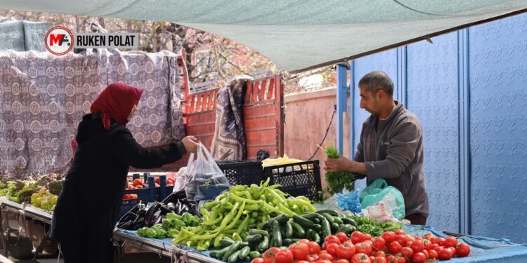 Wanlılar: Devlet adım atar, savaşı durdurursa ekonomi düzelir