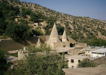 Şengal için 21 kurumdan çağrı