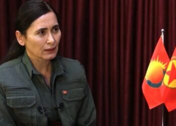 Hêlîn Ümit: Sürecin siyasal ve hukuki gerekliliklerinin yerine getirilmeli