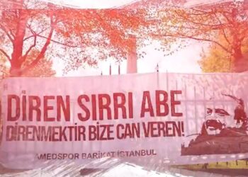 DEM Parti’den Önder’e: Haydi Sırrı Abi bu mücadeleyi de kazan