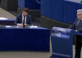 Amor: AB üyeliği askeri güçten değil demokrasiden geçiyor