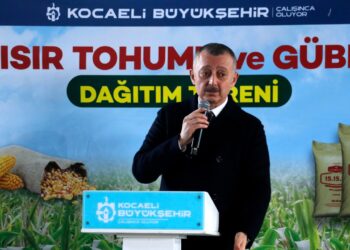 1500 Çiftçiye Dağıtılacak! Tam 70 Ton, Yüzde 50'si Hibeli