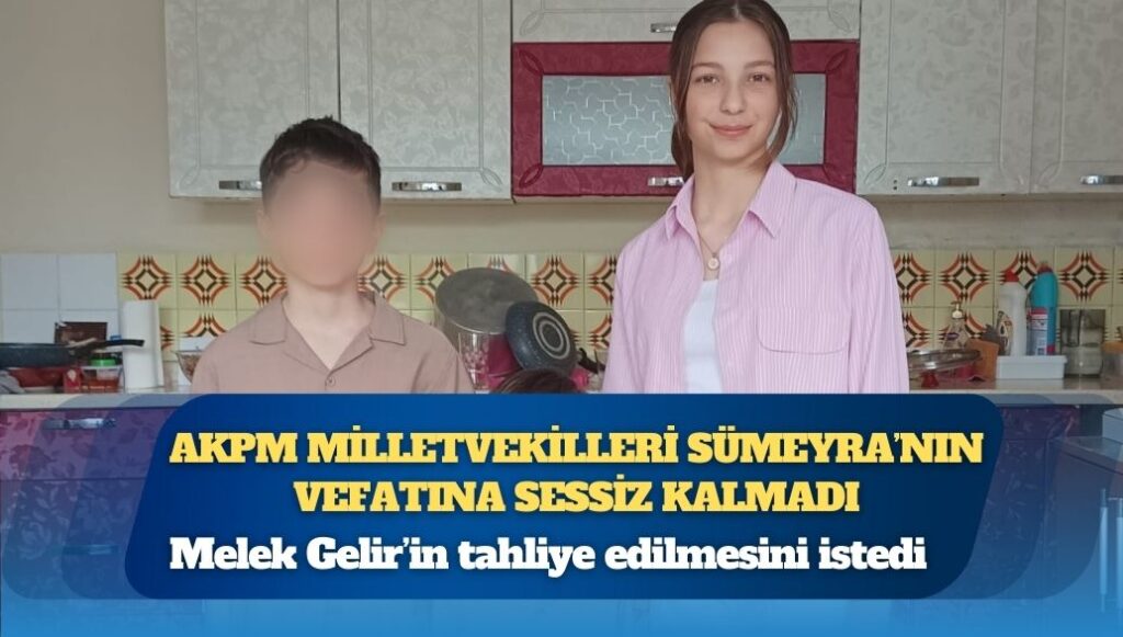 Esad döneminde Türkiye’den Suriye’ye giden İslamcı militanlara ne olacak?