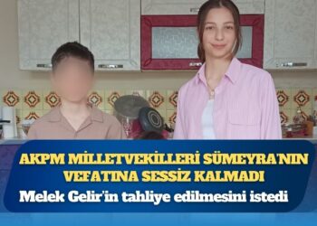Esad döneminde Türkiye’den Suriye’ye giden İslamcı militanlara ne olacak?
