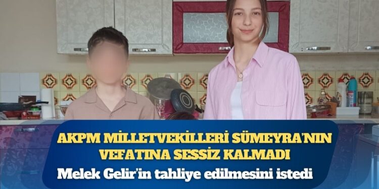 Esad döneminde Türkiye’den Suriye’ye giden İslamcı militanlara ne olacak?