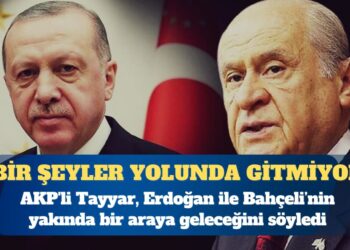 AKP’li Şamil Tayyar: Cumhur ittifakında bir şeylerin yolunda gitmediğini öğrendim, Erdoğan ile Bahçeli bir araya gelecek