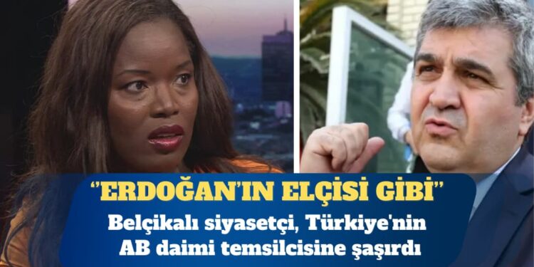 AP üyesi Belçikalı siyasetçi, Türkiye’nin AB daimi temsilcisinin ”Erdoğan’ın elçisi gibi” konuşmasına şaşırdı