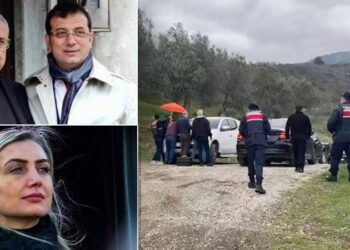 Ailemizi taciz etmeyi bırakın, mert olun!