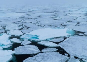 Arktik Buz Örtüsü Son 40 Yılın En Düşük Seviyesine İndi