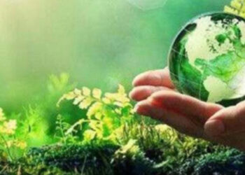 Bankaların yeşil varlık oranı hesaplamasına ilişkin esasları belirlendi