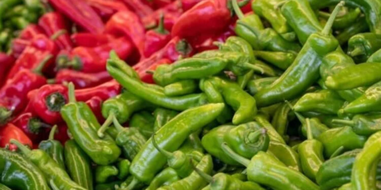 Batı Akdeniz'in ilk çeyrekteki ihracat şampiyonu "biber" oldu