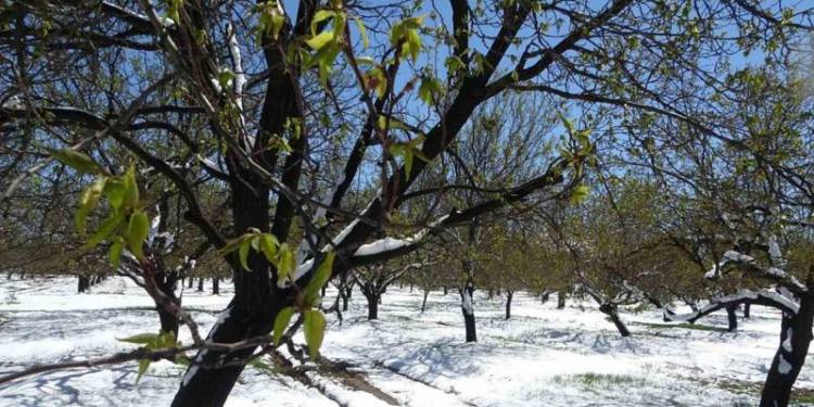 CHP'den "afet bölgesi" ilanı talebi