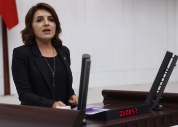 CHP'li Gülcan Kış'tan 'Ekonomi' Çıkışı: 'İş Dünyası Çok Zor Durumda'