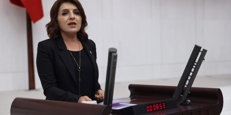 CHP'li Gülcan Kış'tan 'Ekonomi' Çıkışı: 'İş Dünyası Çok Zor Durumda'