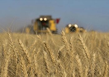 CHP'li Gürer'den 'Tarımda İcra' Çıkışı: Tarla ve Hayvanlar Haczedilmemeli