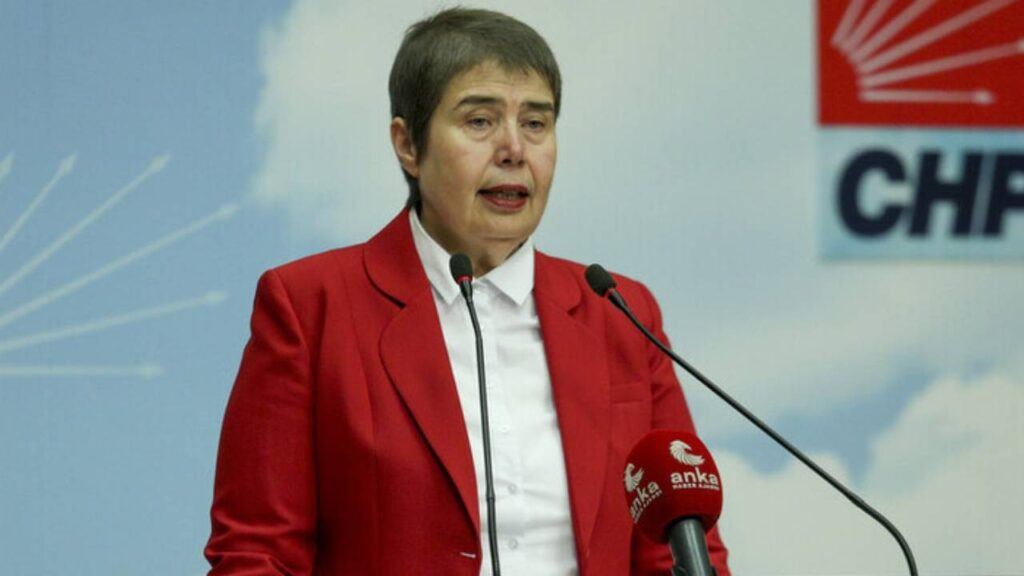 CHP'li Şahbaz'dan Yenidoğan Çetesi Davasında Adalet Çağrısı