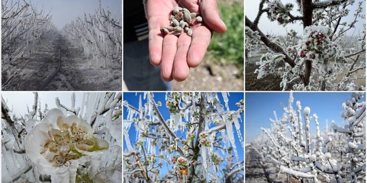 Don felaketinin etkisi ağustosta yurttaşın cebine yansıyacak