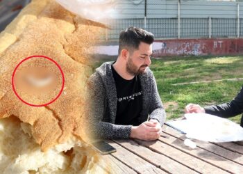 Ekmeğin İçinden Çıktı! Mide Bulandıran Görüntü: Ağzına Attı, Çiğnedi, Neye Uğradığını Şaşırdı